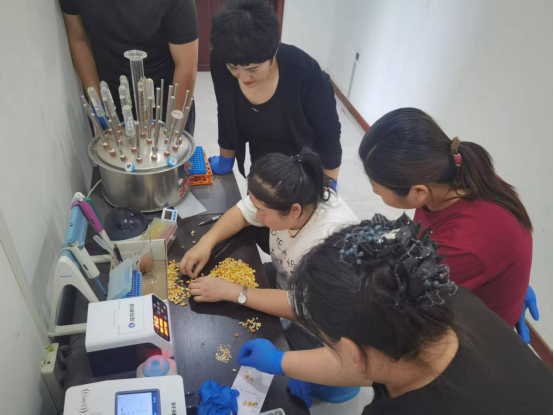 1762831452983476.png image.png