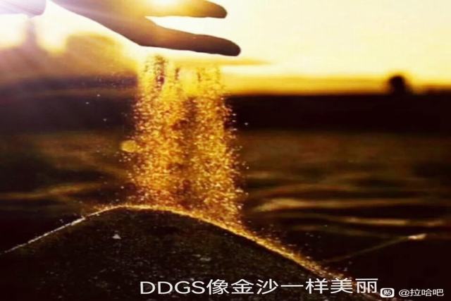 图片11.jpg